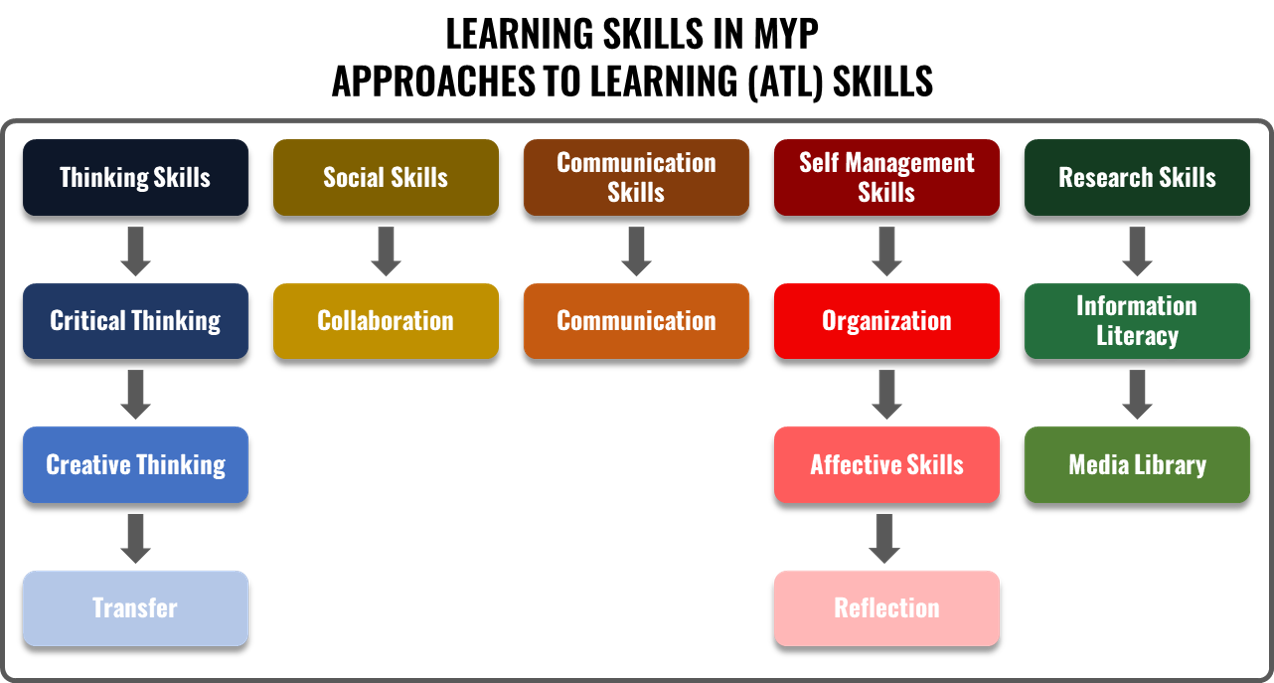 myp Related-concepts